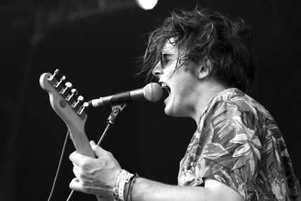 the wombats